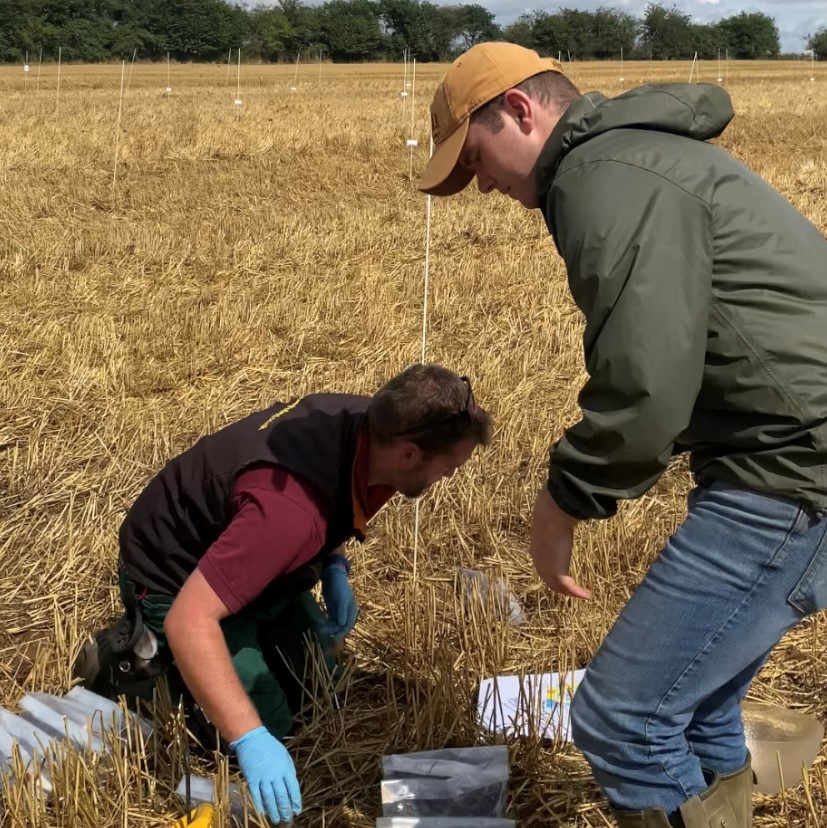 London Pilot Project cropped image.png